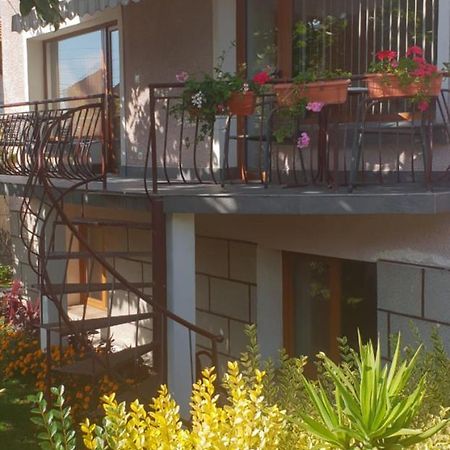 Kyurkchievi Guest House Sapareva Banja Exteriér fotografie