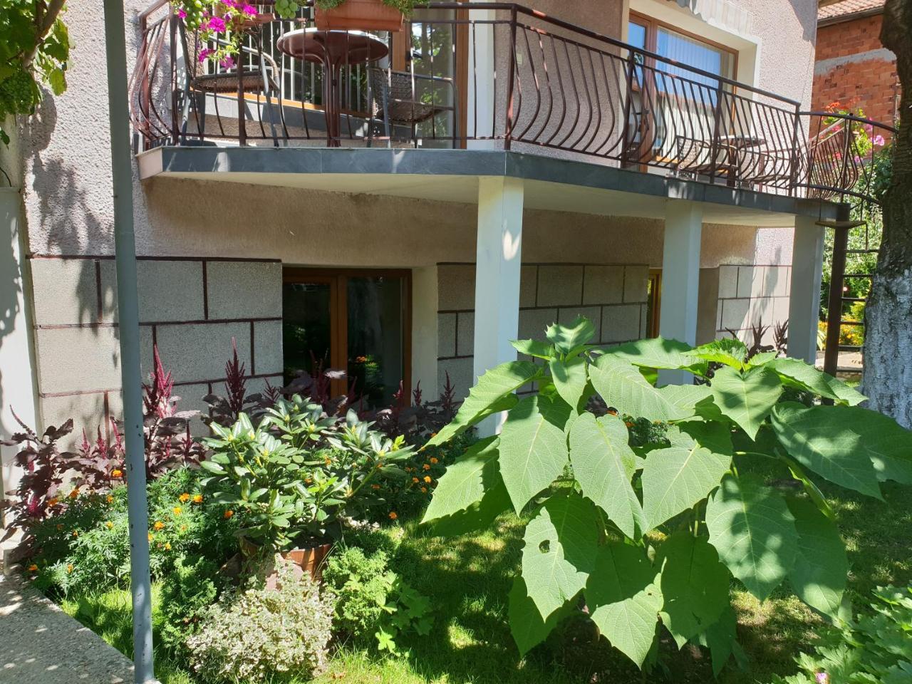 Kyurkchievi Guest House Sapareva Banja Exteriér fotografie